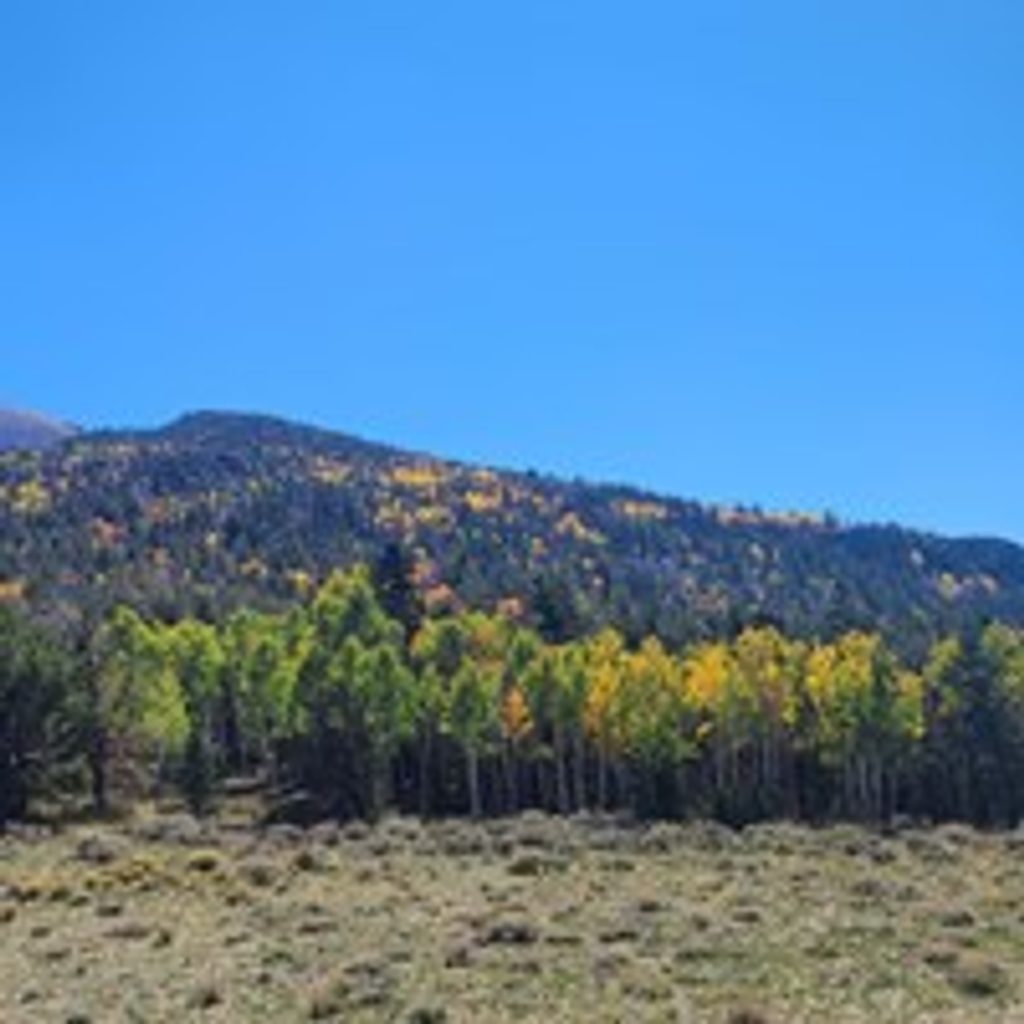 Strawberry Creek Loop, Great Basin National Park