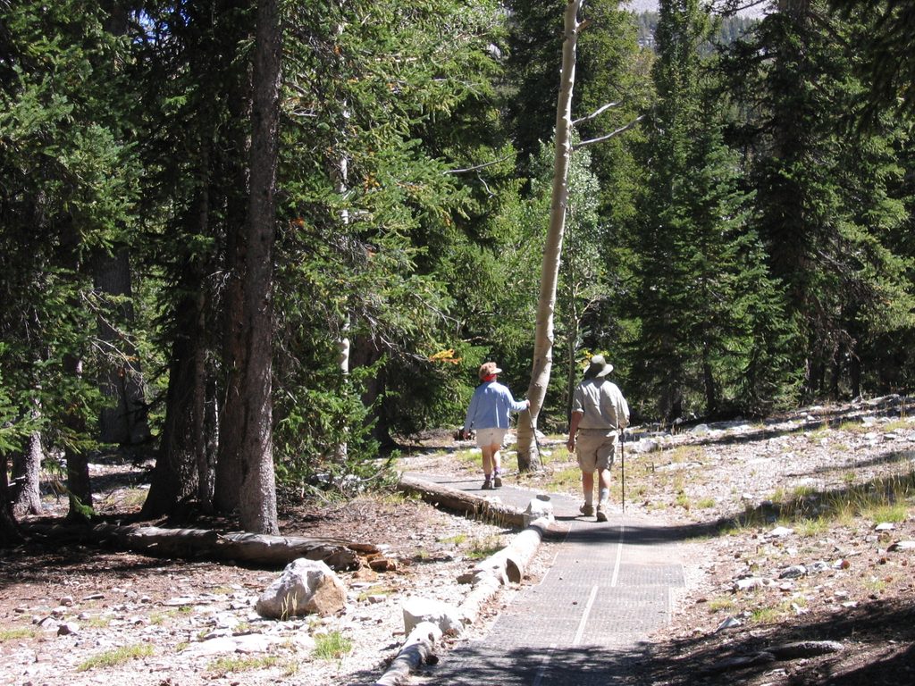 Island Forest Trail, Great Basin National Park