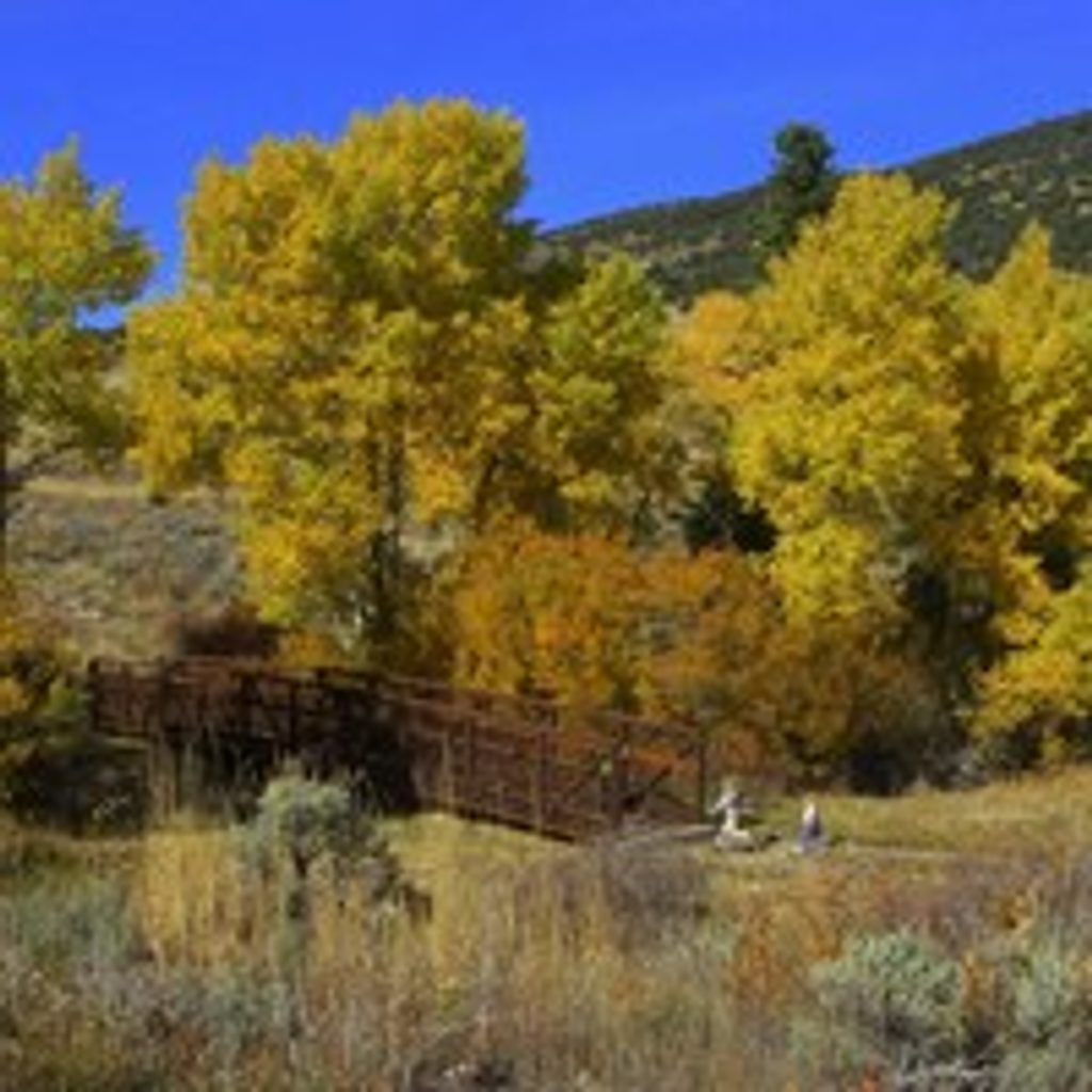 Upper Strawberry Trail, Great Basin National Park