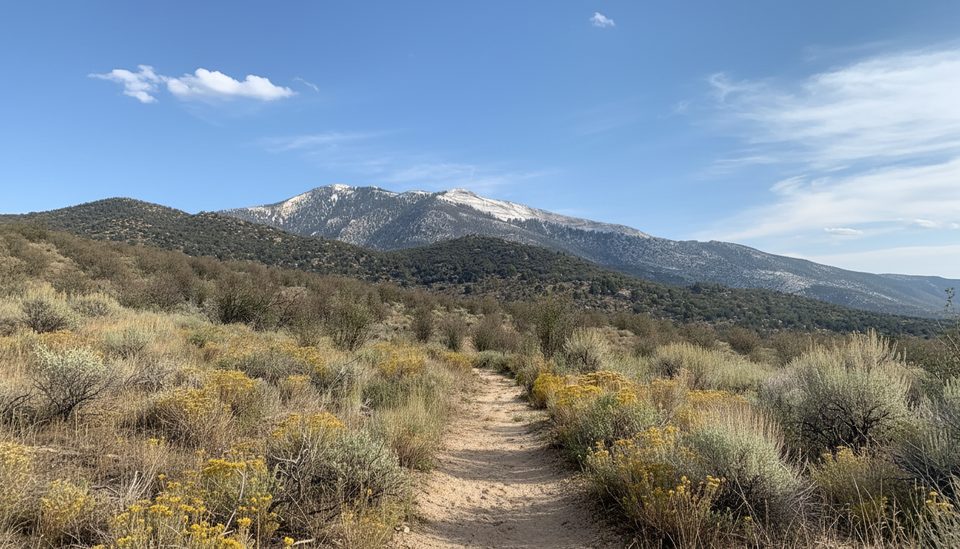 Serviceberry Trail, Great Basin National Park