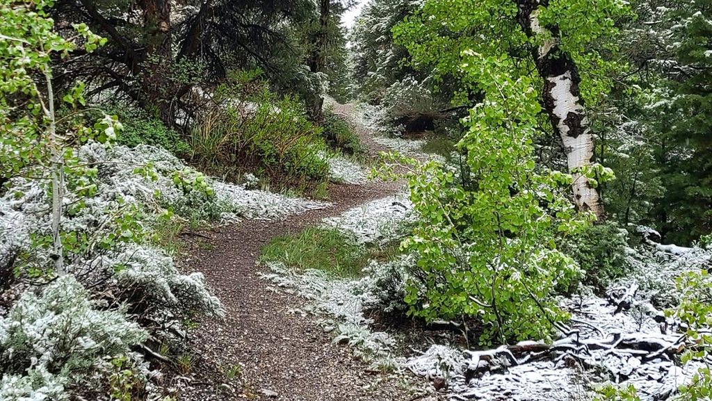 Pole Canyon Trail, Great Basin National Park