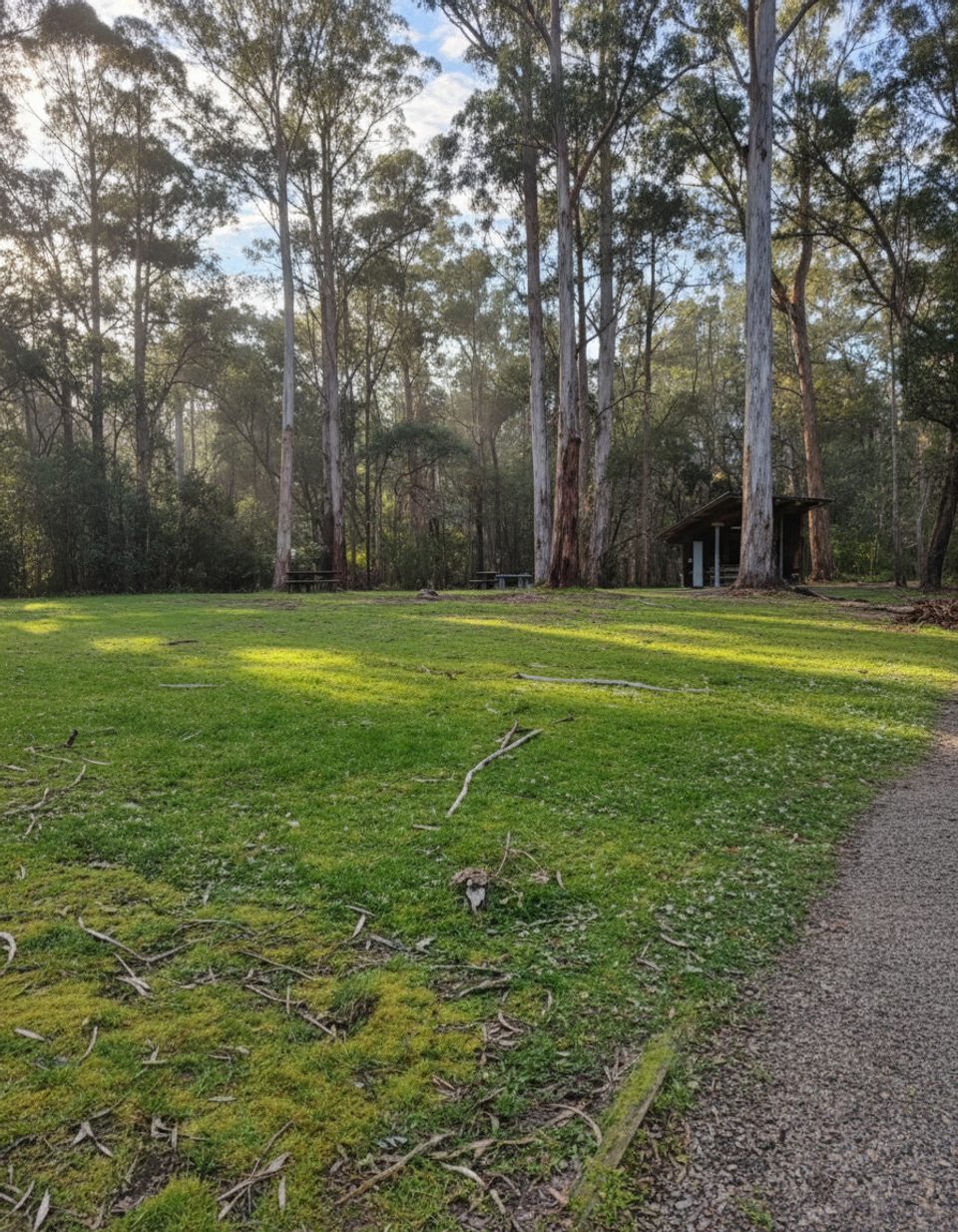 Sheoak Picnic Ground – The Canyon, Great Otway National Park