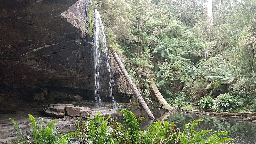 Kalimna Falls Walk, Great Otway National Park