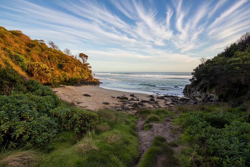 Shelly Beach Walk, Great Otway National Park