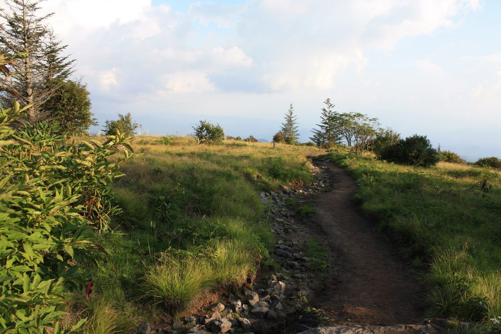 Forney Ridge Trail, Great Smoky Mountains National Park