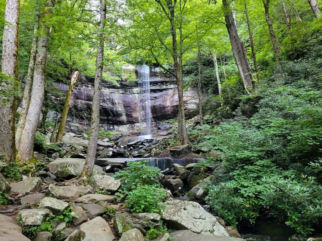 Rainbow Falls Trail, Great Smoky Mountains National Park