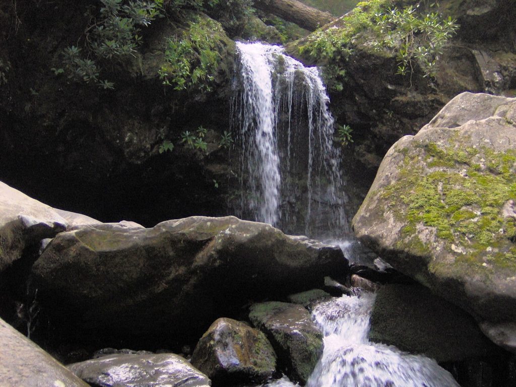 Grotto Falls Trail, Great Smoky Mountains National Park