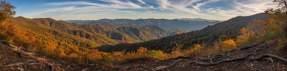 Grapeyard Ridge Trail, Great Smoky Mountains National Park