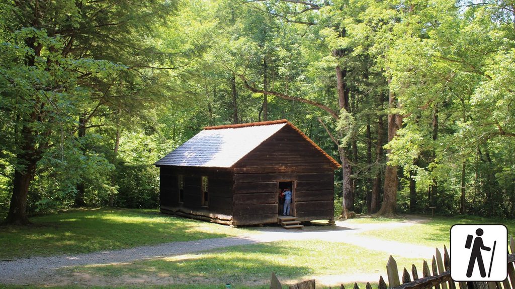 Little Brier Gap Trail, Great Smoky Mountains National Park