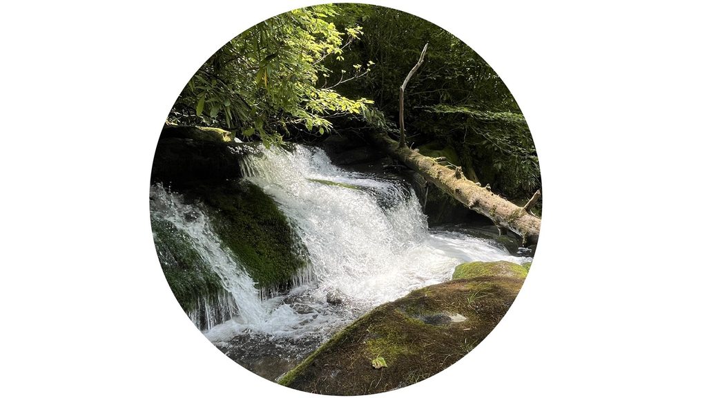 Twentymile Trail, Great Smoky Mountains National Park