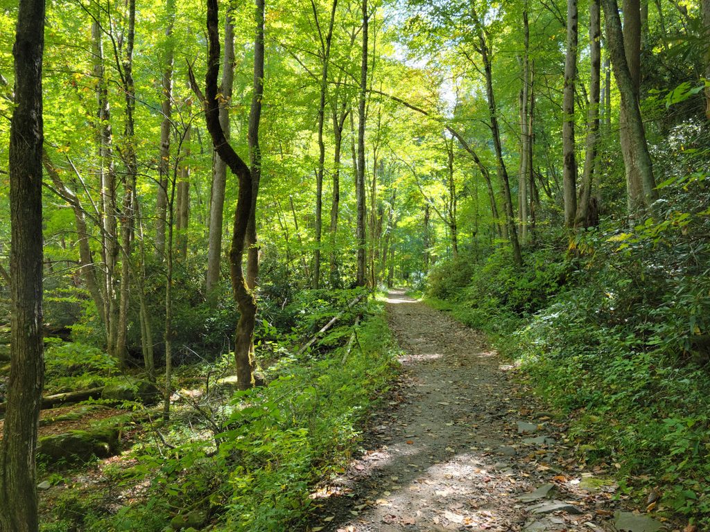 Little River Trail, Great Smoky Mountains National Park