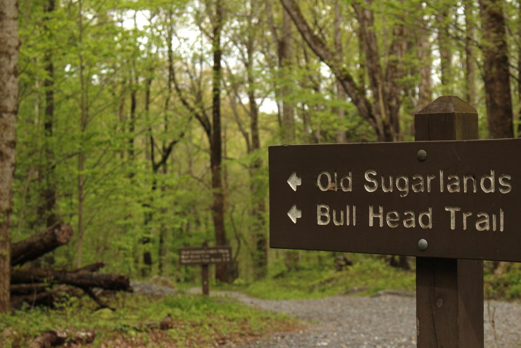 Bullhead Trail, Great Smoky Mountains National Park