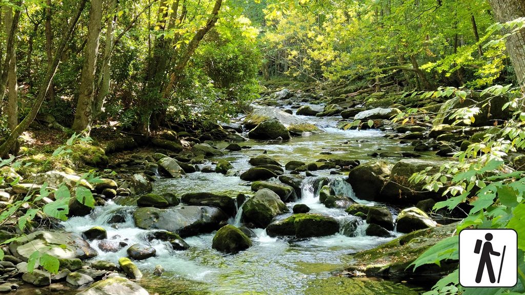 Cucumber Gap Loop, Great Smoky Mountains National Park