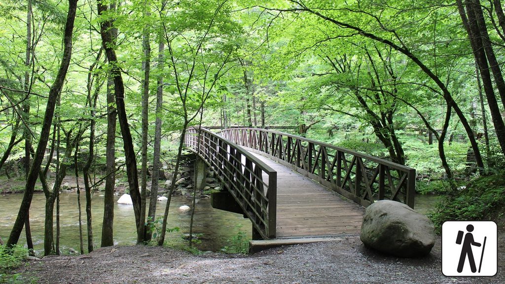 Gatlinburg Trail, Great Smoky Mountains National Park