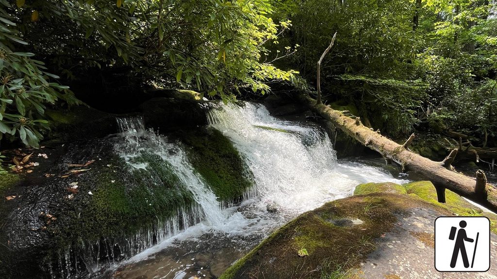 Twentymile Loop Trail, Great Smoky Mountains National Park
