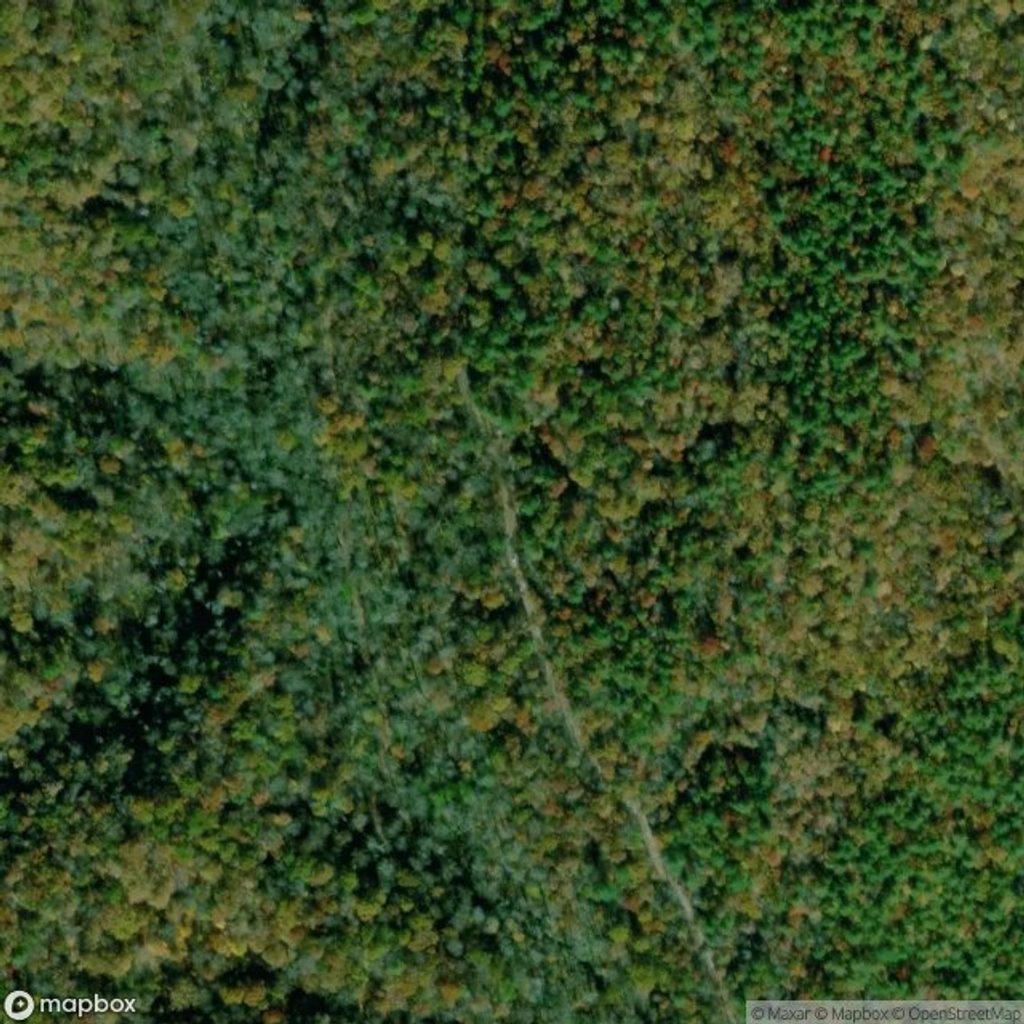 Little Cataloochee Trail, Great Smoky Mountains National Park