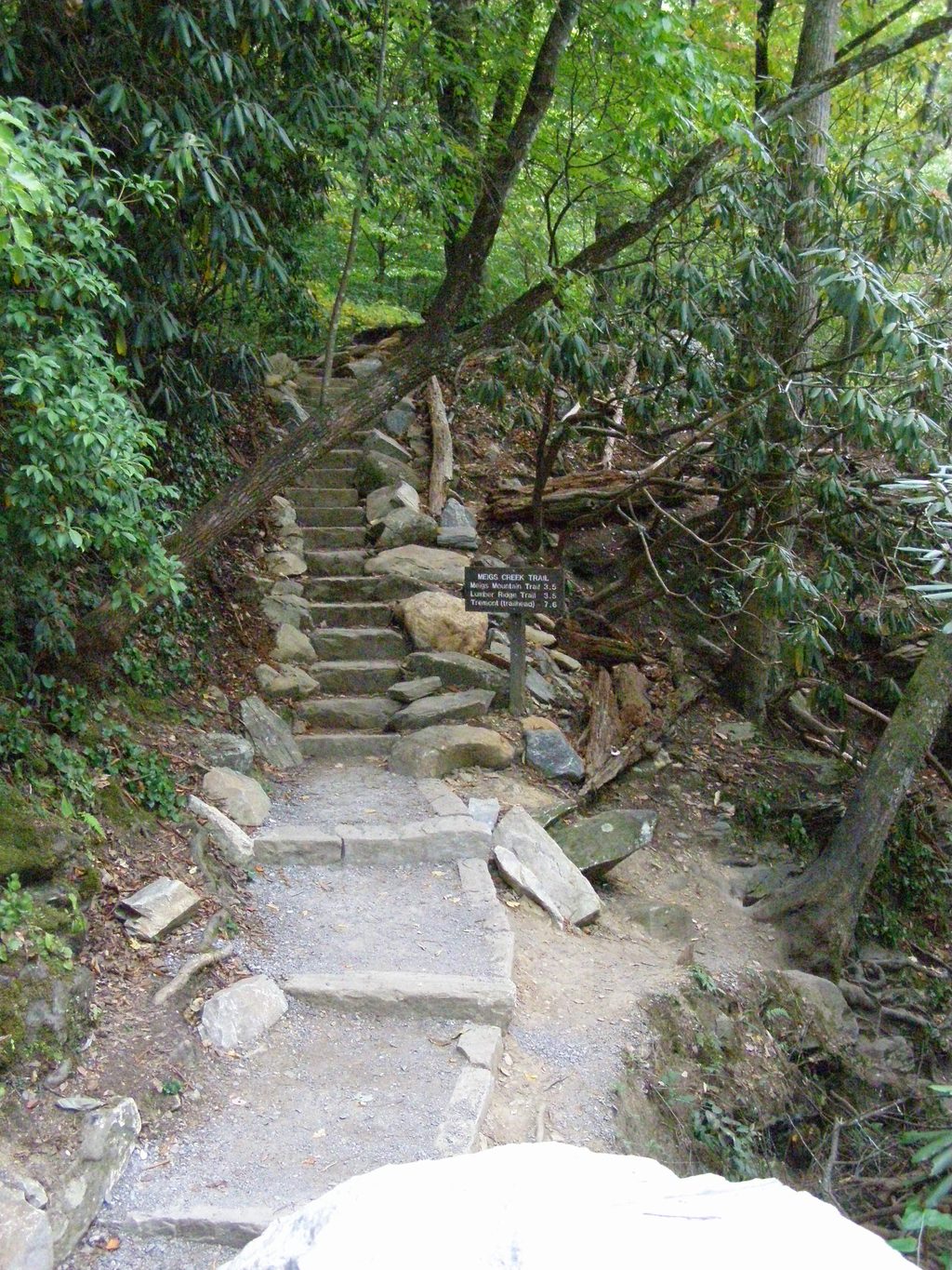Meigs Creek Trail, Great Smoky Mountains National Park