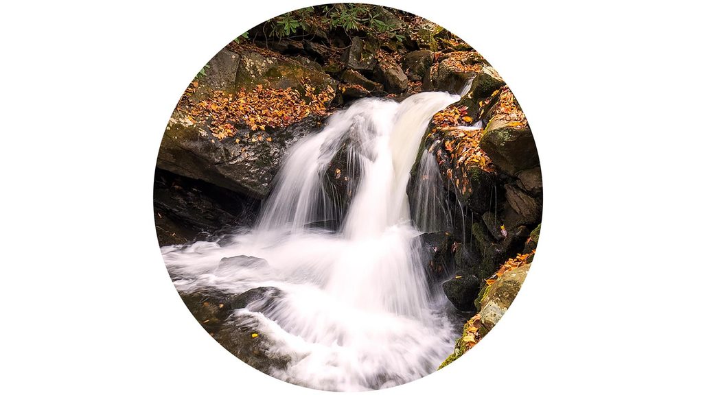 Lynn Camp Prong Trail, Great Smoky Mountains National Park