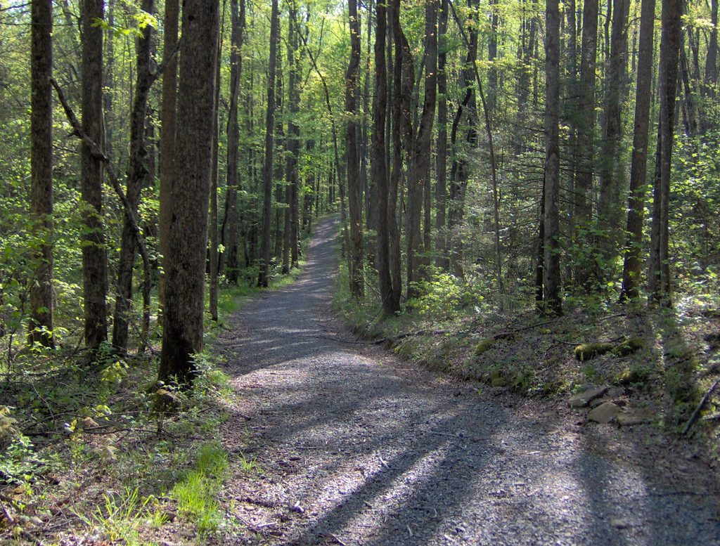 Snake Den Ridge Trail, Great Smoky Mountains National Park
