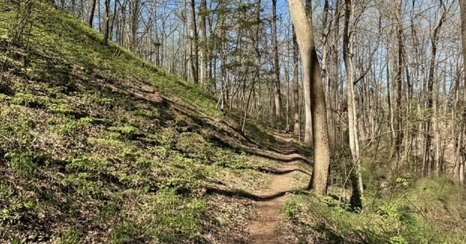 Finley Cane Trail, Great Smoky Mountains National Park