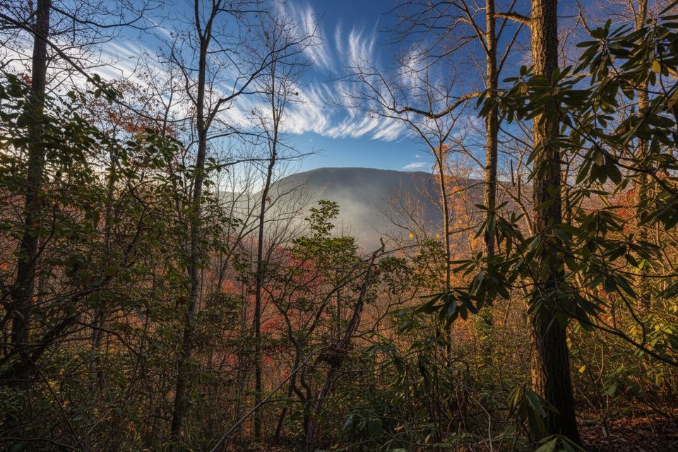 Smokemont Loop Trail, Great Smoky Mountains National Park