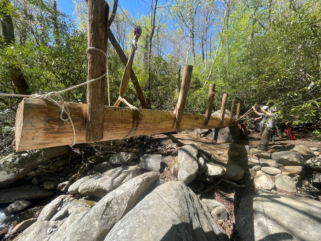 Porters Creek Trail, Great Smoky Mountains National Park