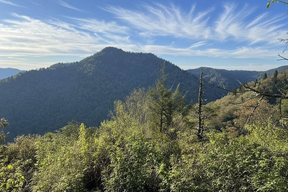 Road Prong Trail, Great Smoky Mountains National Park