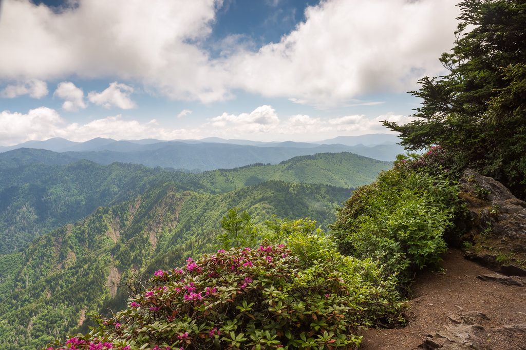 Boulevard Trail, Great Smoky Mountains National Park