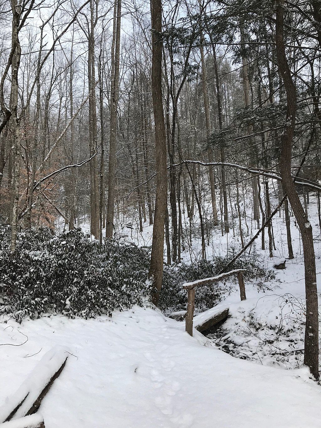 Fighting Creek Nature Trail, Great Smoky Mountains National Park