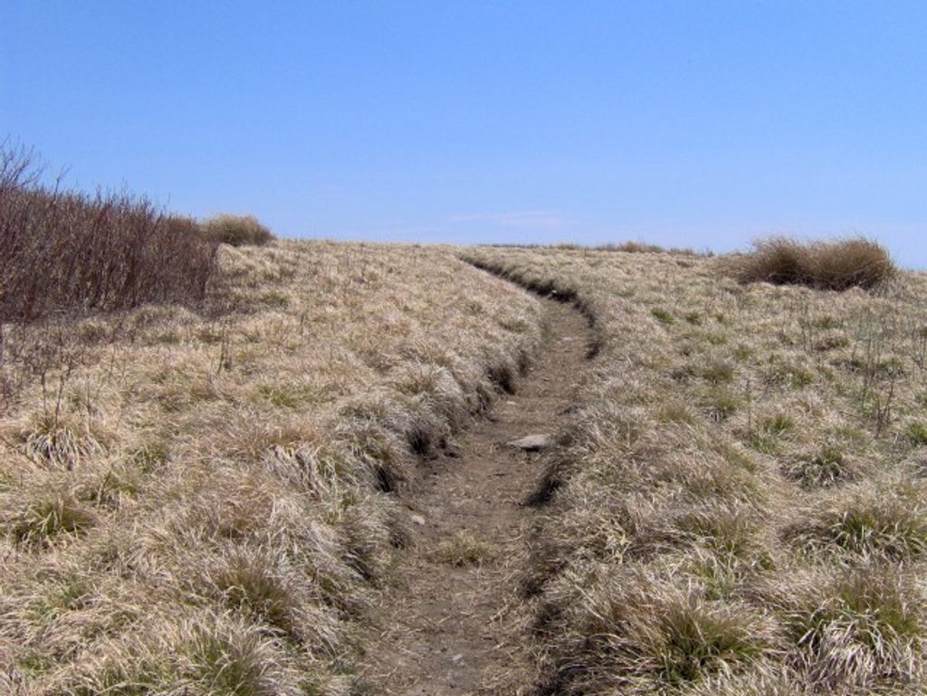 Gregory Bald Trail, Great Smoky Mountains National Park