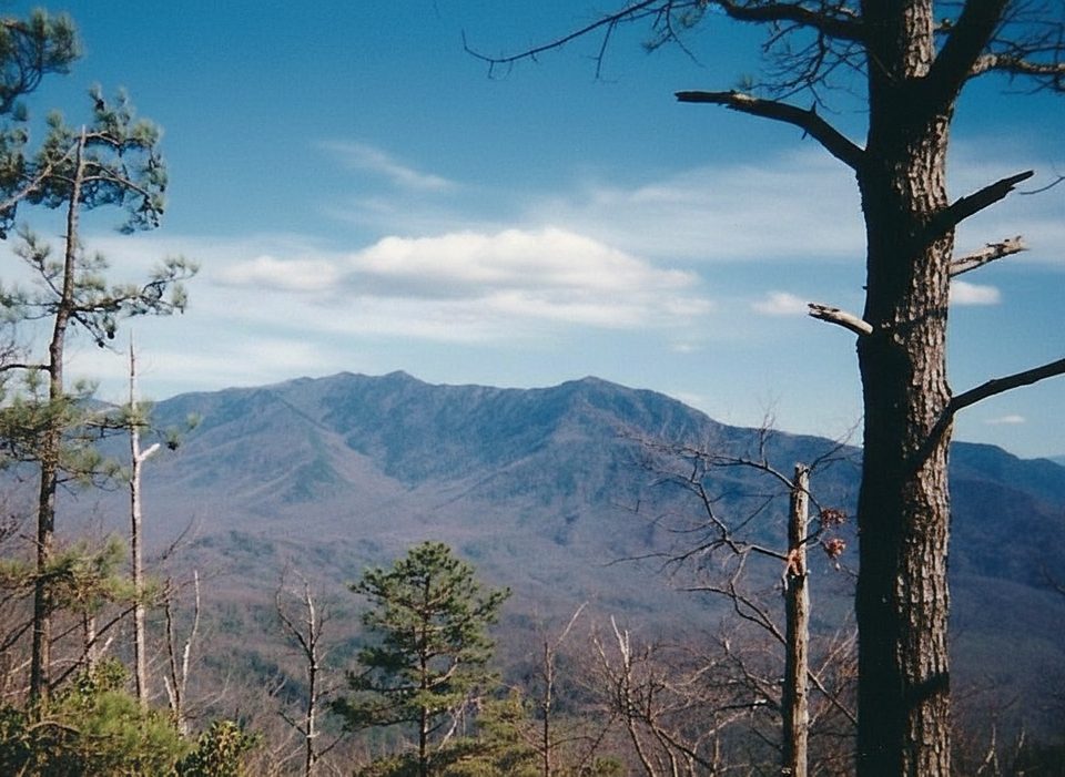 Cove Mountain Trail, Great Smoky Mountains National Park