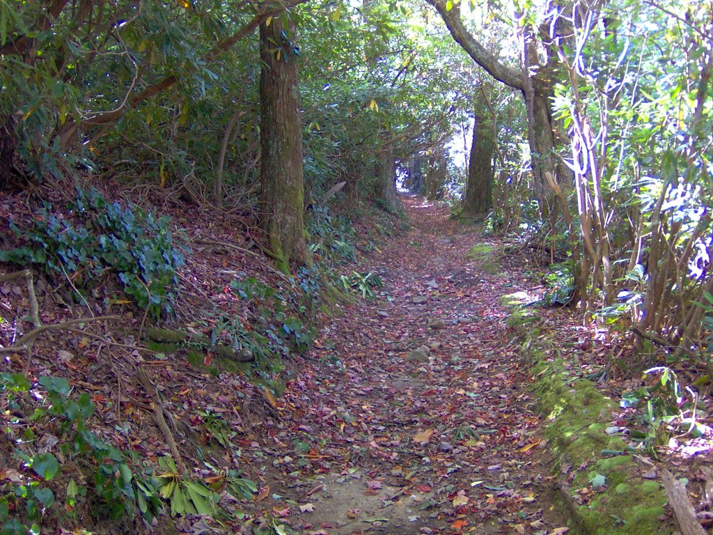 Bote Mountain Trail, Great Smoky Mountains National Park