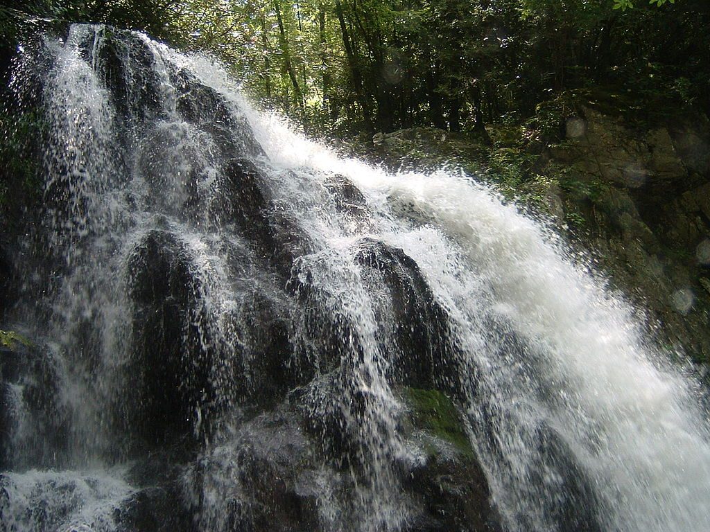 Spruce Flats Falls Trail, Great Smoky Mountains National Park