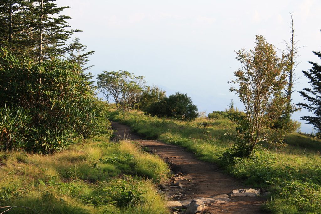 Andrews Bald Trail, Great Smoky Mountains National Park