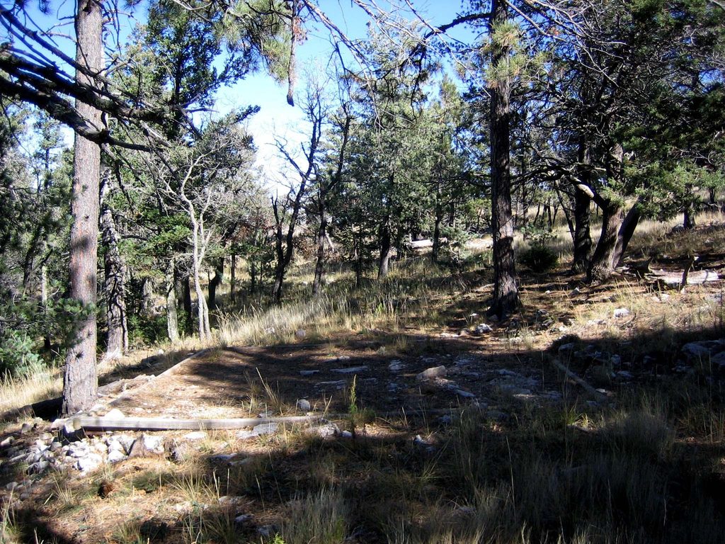 Blue Ridge Trail, Guadalupe Mountains National Park