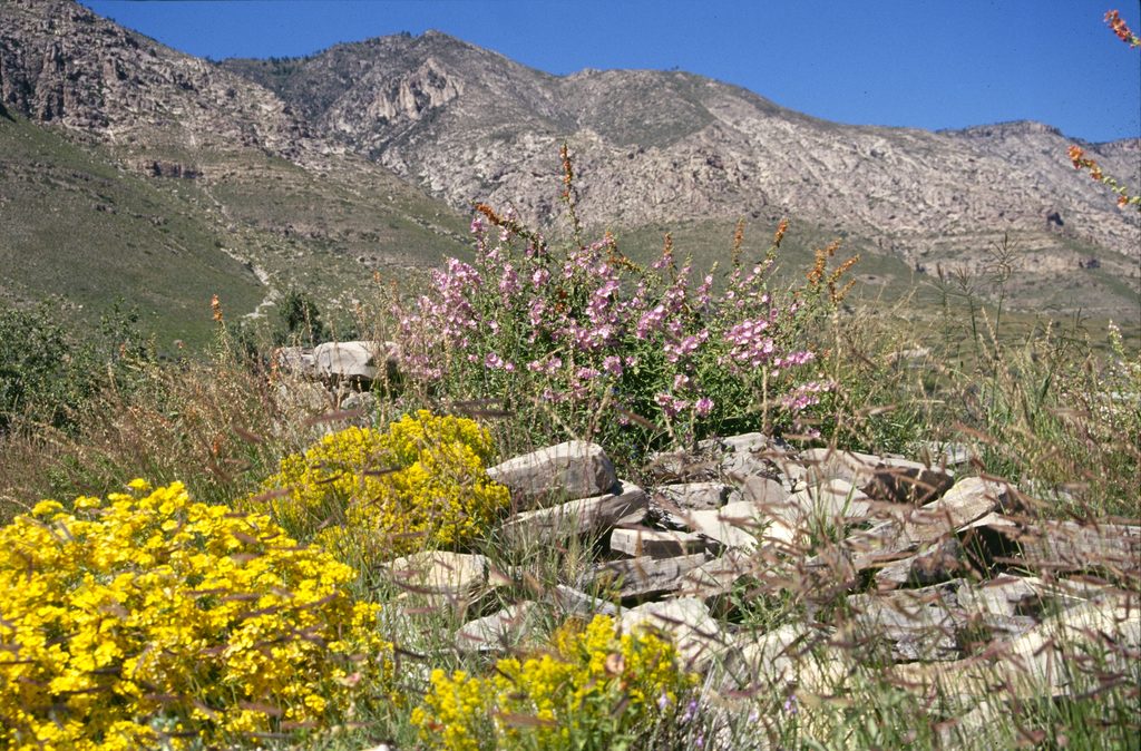 Butterfield Stage Ruins Trail, Guadalupe Mountains National Park