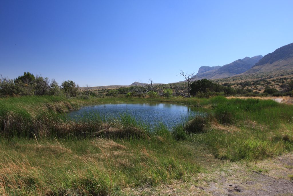 Manzanita Spring Trail, Guadalupe Mountains National Park
