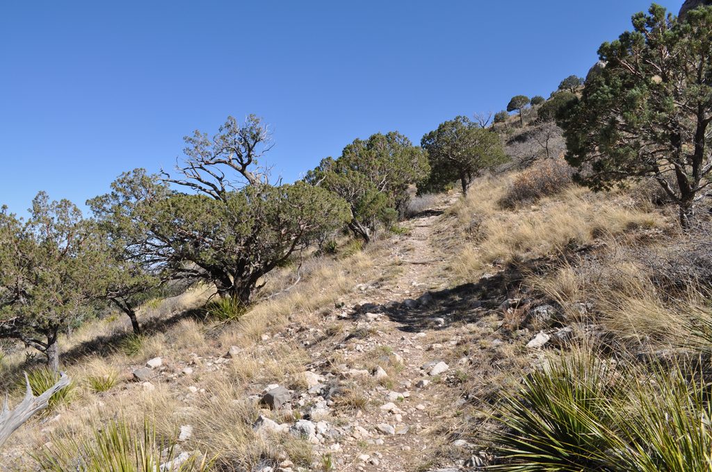 Guadalupe Peak Horse Trail, Guadalupe Mountains National Park