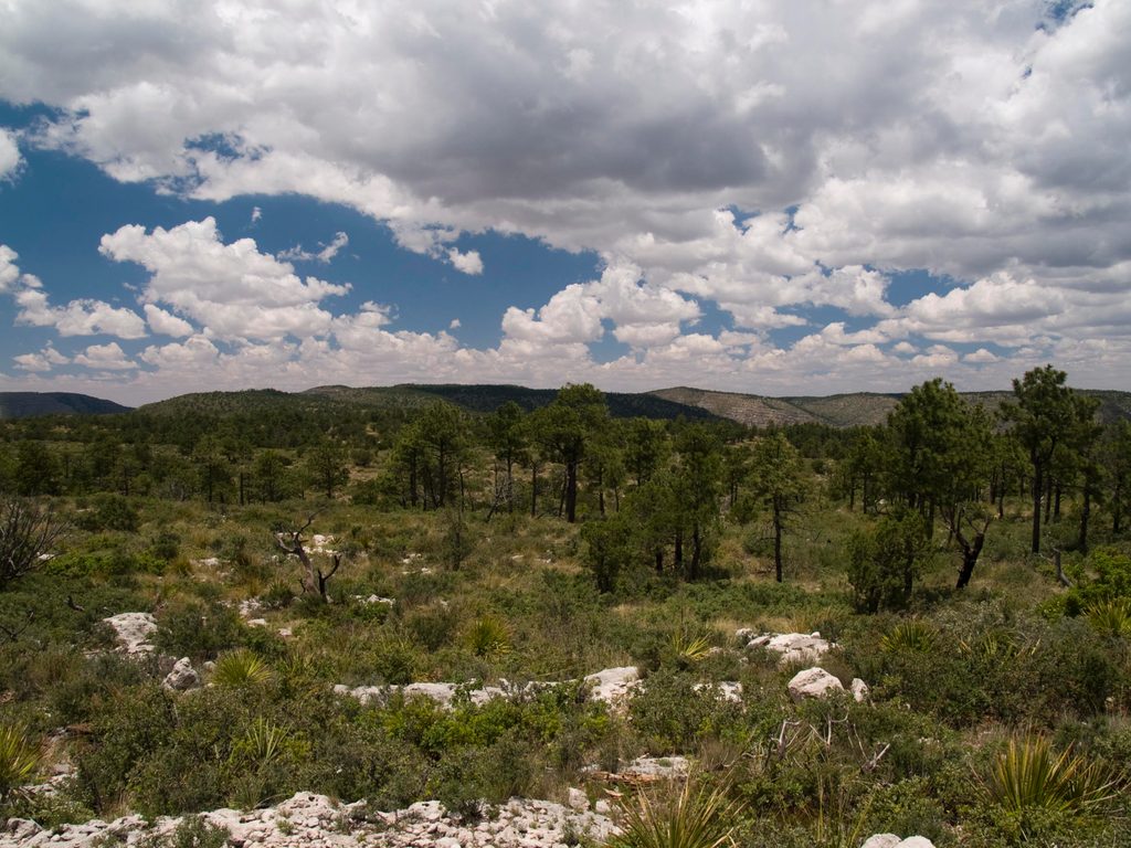 Permian Reef Geology Trail, Guadalupe Mountains National Park