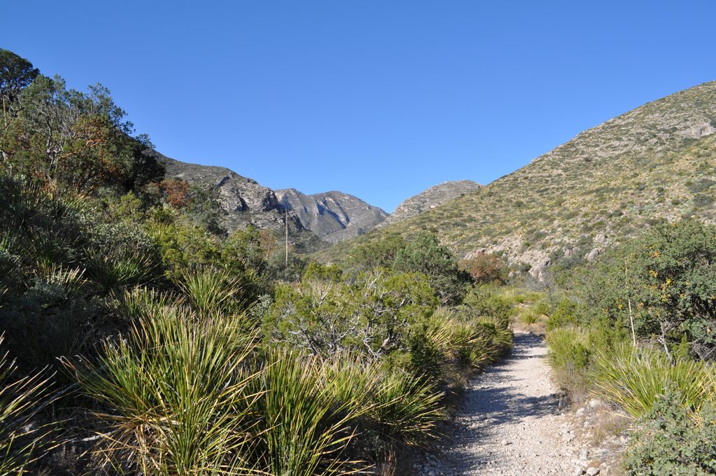 McKittrick Canyon Trail, Guadalupe Mountains National Park