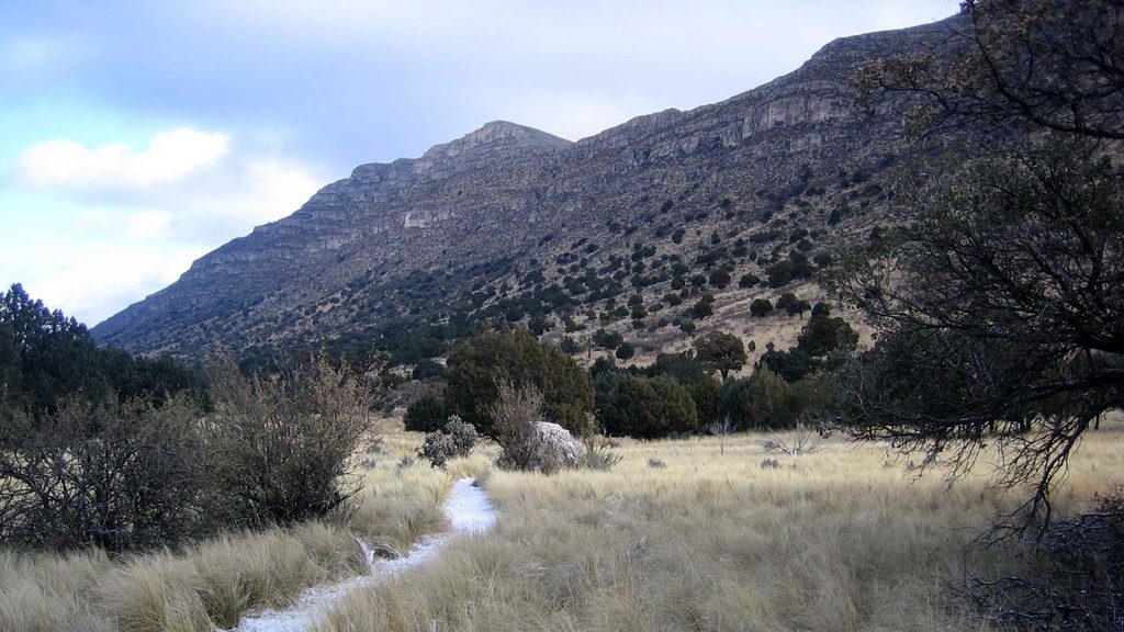 Indian Meadow Nature Trail, Guadalupe Mountains National Park