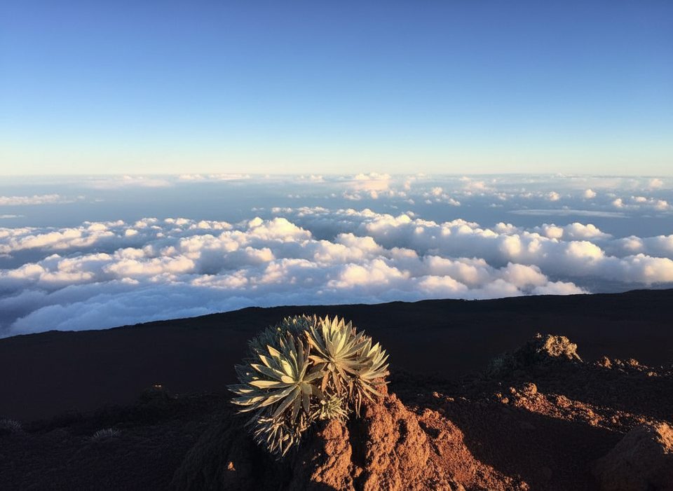 Puʻu ʻUlaʻula (Red Hill) Summit Path, Haleakalā National Park