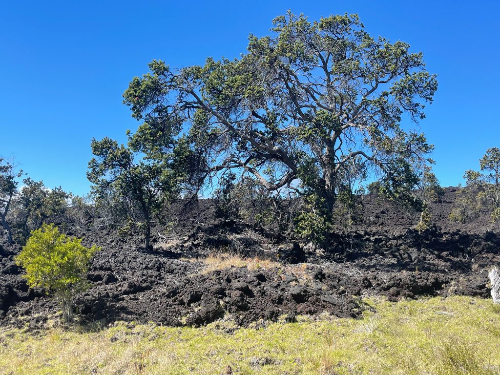 Kona Trail (Kahuku), Hawaiʻi Volcanoes National Park