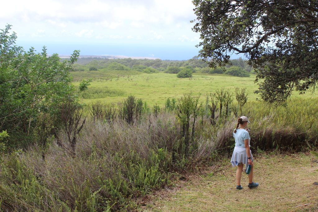 Pu‘u o Lokuana Trail (Kahuku), Hawaiʻi Volcanoes National Park