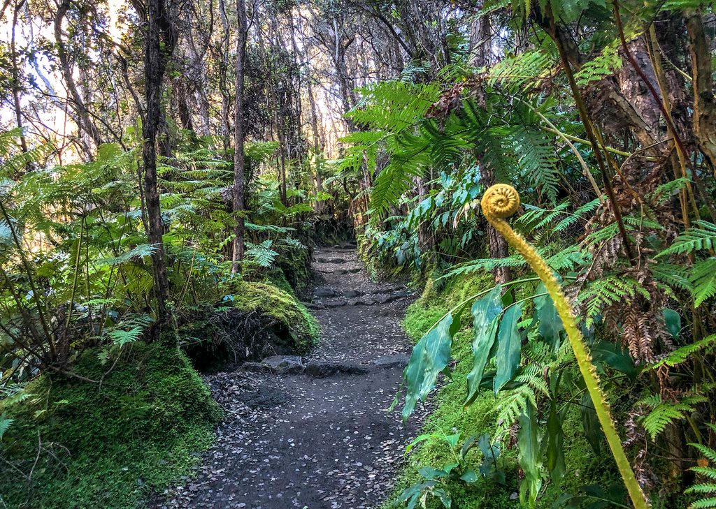 Halemaʻumaʻu Trail, Hawaiʻi Volcanoes National Park