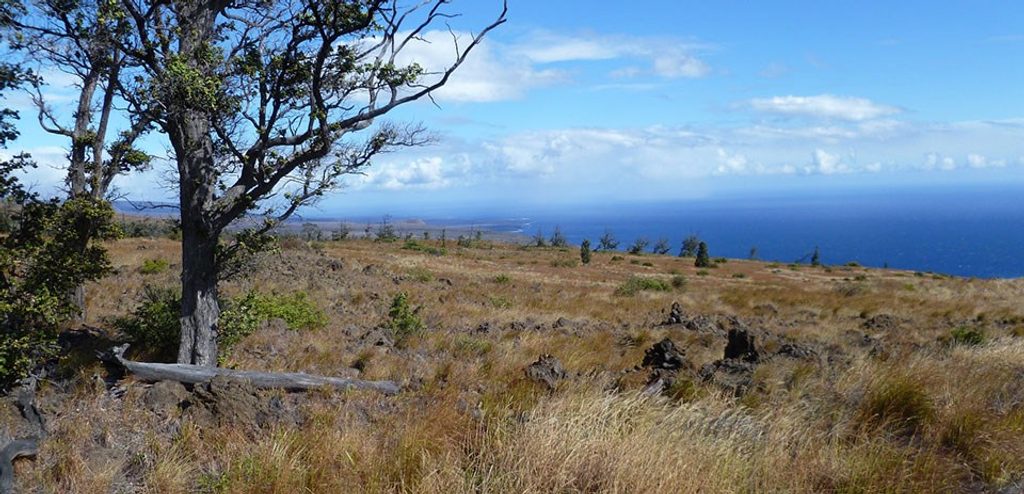 Pali o Pepeiao Trail, Hawaiʻi Volcanoes National Park