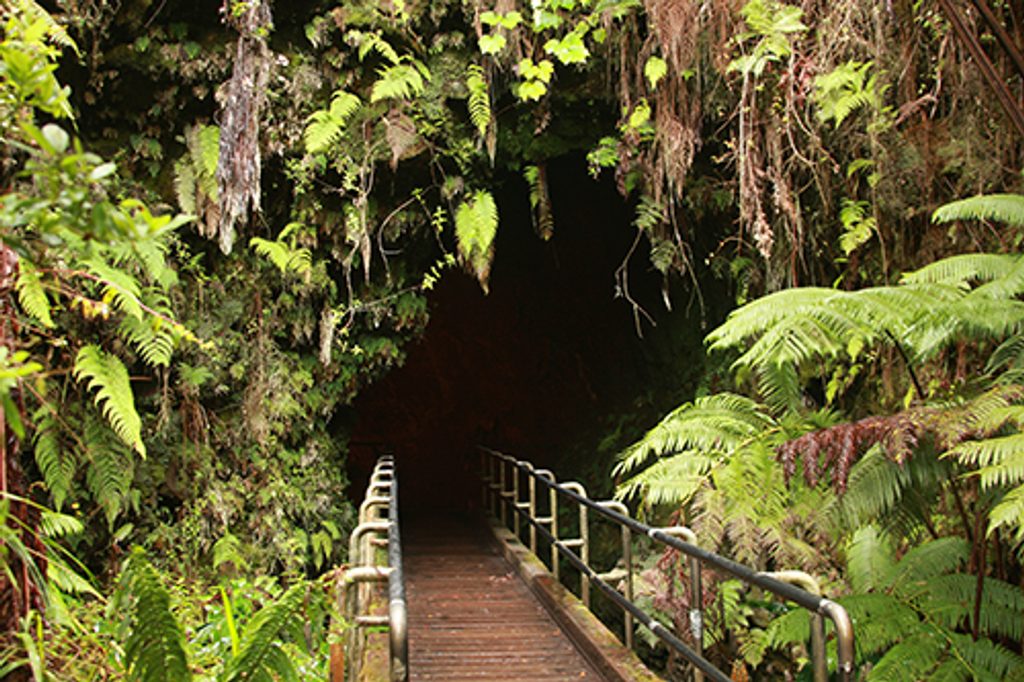 Thurston Lava Tube (Nāhuku), Hawaiʻi Volcanoes National Park
