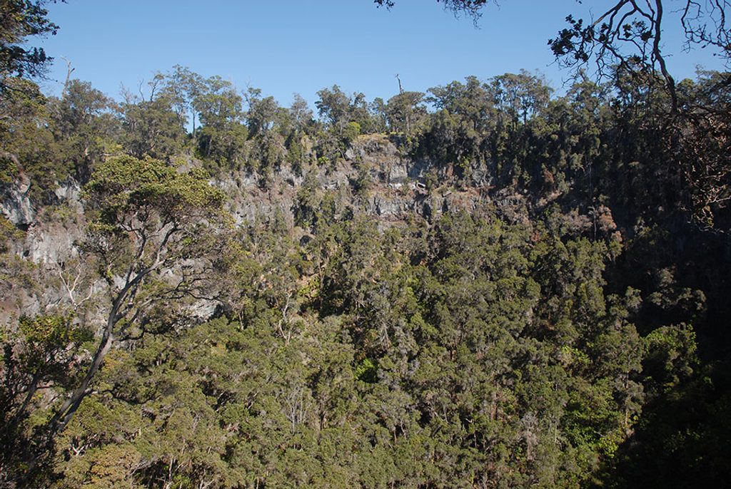 Pit Crater Trail, Hawaiʻi Volcanoes National Park