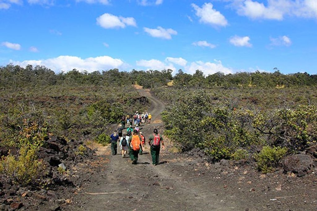 Palm Trail (Kahuku), Hawaiʻi Volcanoes National Park