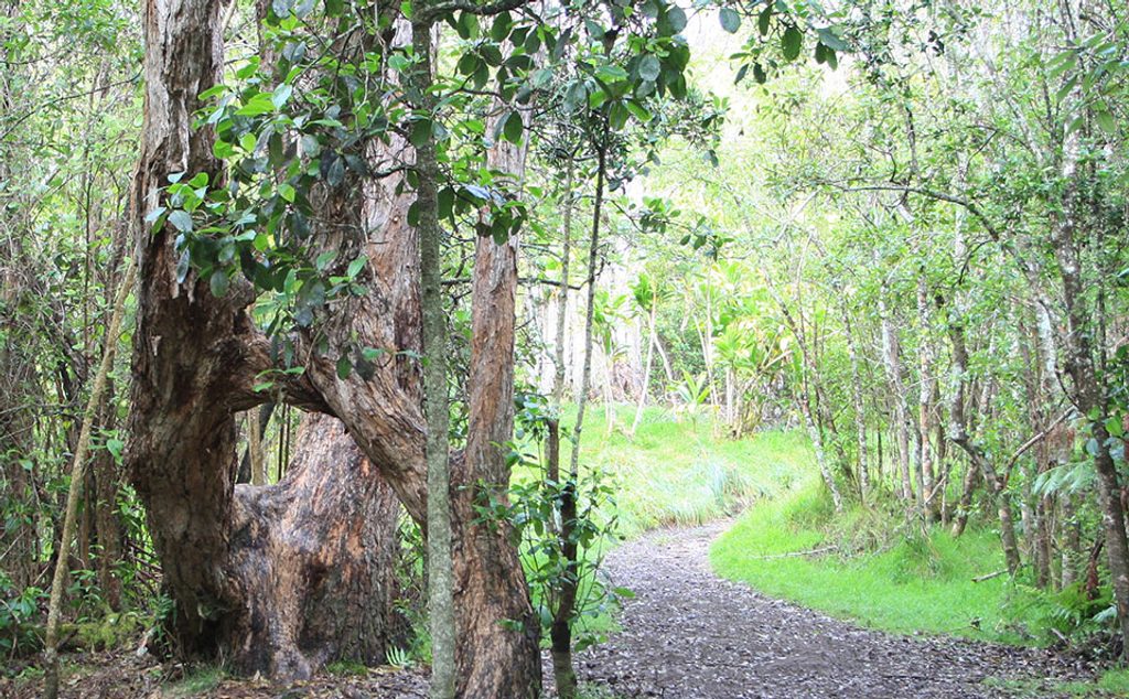 Kīpukapuaulu, Hawaiʻi Volcanoes National Park